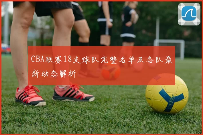 CBA联赛18支球队完整名单及各队最新动态解析