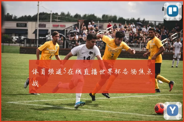 体育频道5在线直播世界杯各场焦点战