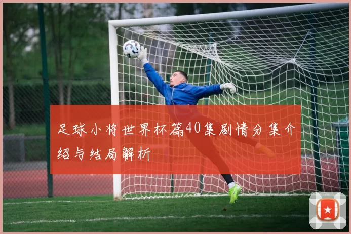 足球小将世界杯篇40集剧情分集介绍与结局解析