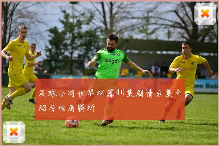足球小将世界杯篇40集剧情分集介绍与结局解析