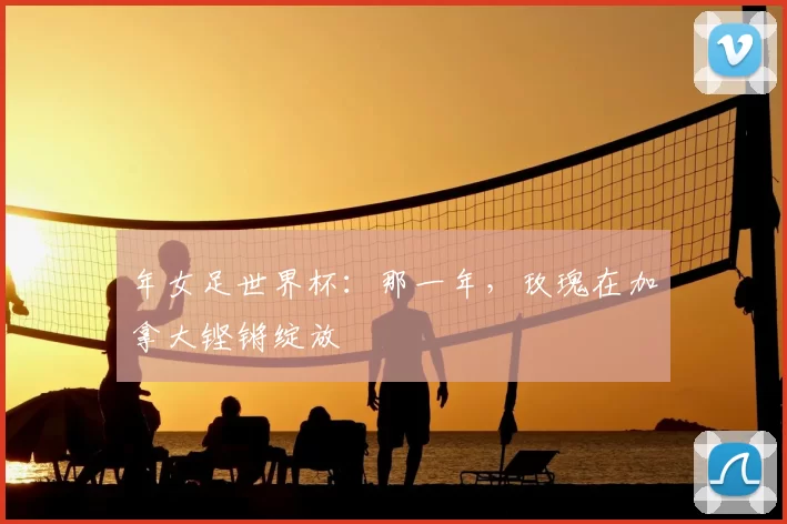 年女足世界杯：那一年，玫瑰在加拿大铿锵绽放