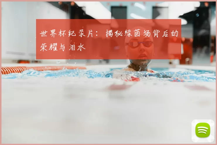 世界杯纪录片：揭秘绿茵场背后的荣耀与泪水