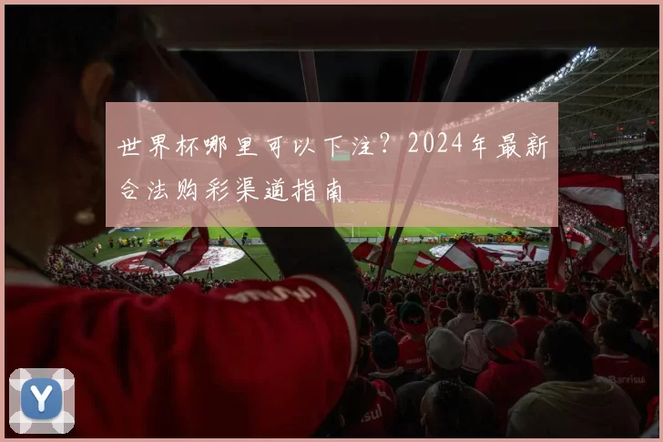 世界杯哪里可以下注？2024年最新合法购彩渠道指南