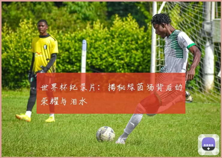 世界杯纪录片：揭秘绿茵场背后的荣耀与泪水
